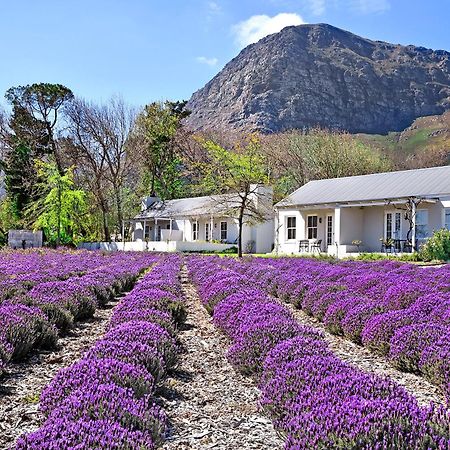 Lavender Farm Boutique Guest House Franschhoek Exterior foto