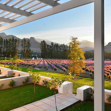 Lavender Farm Boutique Guest House Franschhoek Exterior foto