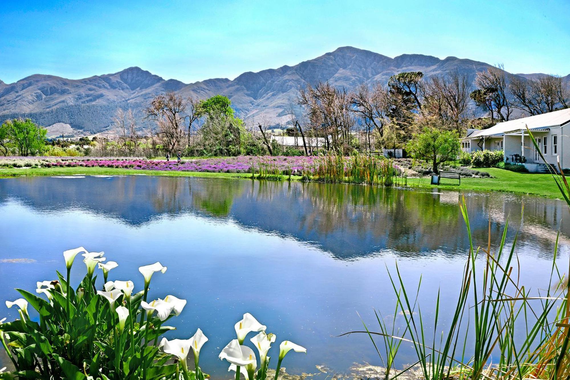 Lavender Farm Boutique Guest House Franschhoek Exterior foto