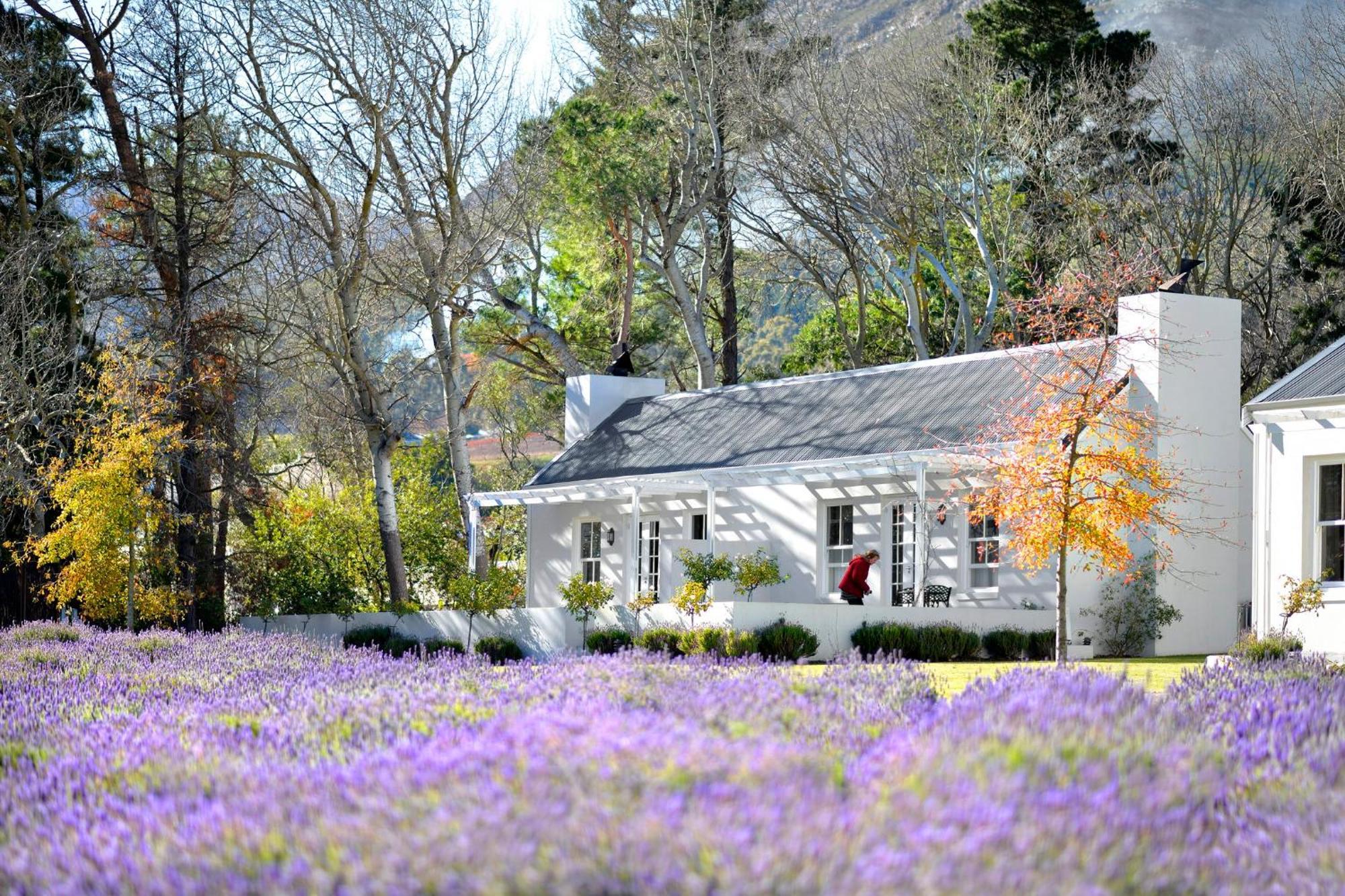 Lavender Farm Boutique Guest House Franschhoek Exterior foto